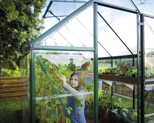 Serre avec plantes et enfant dans le jardin