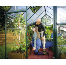 Un père et sa fille regardent des plants de tomates dans une serre.