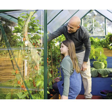 Un père et sa fille regardent des plants de tomates dans une serre.