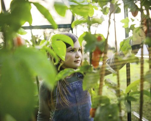 Fille dans une serre avec des plants de légumes