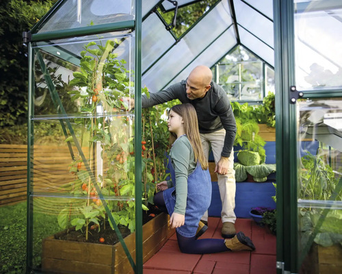Père et fille dans la serre avec des plants de tomates