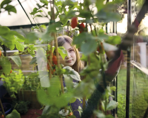 Fille dans une serre avec des plants de tomates