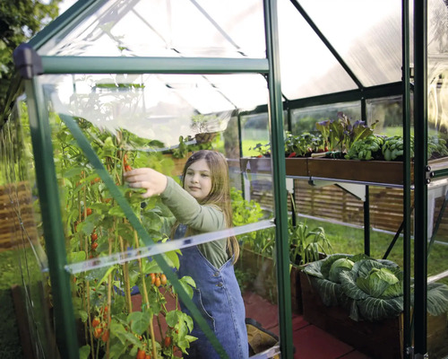Une fille récolte des tomates dans une serre avec diverses plantes en pots.