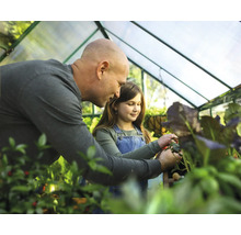 Un père et sa fille travaillent dans une serre et s''occupent des plantes.