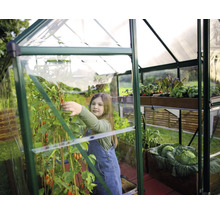Une serre avec une fille qui cueille des tomates et des plantes en pot