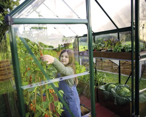 Une serre avec une fille qui cueille des tomates et des plantes en pot