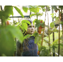 Fille dans une serre entre des plantes avec des tomates