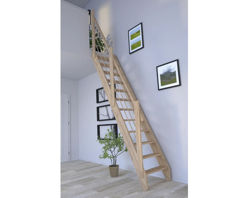 Escalier en bois dans une pièce avec des tableaux au mur et une plante d''intérieur.