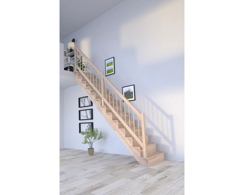 Escalier en bois dans un salon lumineux avec des tableaux au mur et une plante
