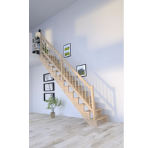 Escalier en bois dans une pièce à vivre avec des tableaux au mur et une plante
