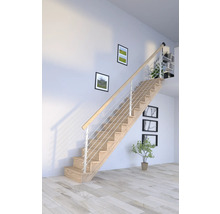 Escalier avec marches en bois et rampe en acier inoxydable dans une pièce lumineuse