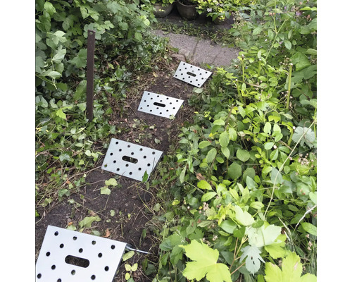Pas japonais en métal dans un sentier de jardin entre les plantes.
