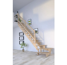 Escalier en bois dans une pièce lumineuse avec des tableaux au mur et une plante