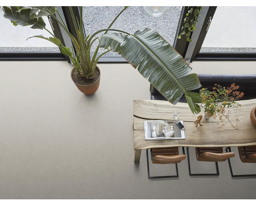 Vue intérieure de dessus avec table à manger, chaises et plante d''intérieur