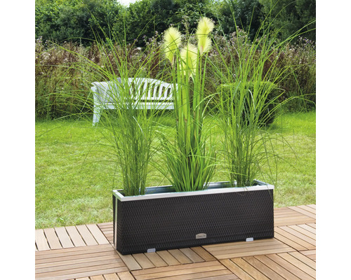 Jardinière rectangulaire avec plantes sur une terrasse en bois