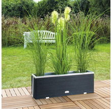 Pflanzkübel Polyrattan 108x39x43 cm anthrazit-aluminium