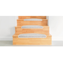 Escalier en bois avec marches d''escalier en moquette