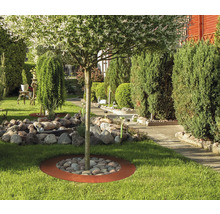 Aménagement de jardin avec arbre, pierres et plantes
