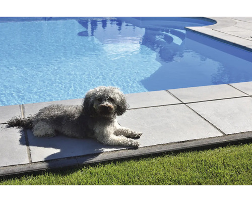 Un chien est allongé sur des dalles de terrasse à côté d''une piscine.