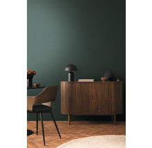 Salon avec commode en bois, lampe de table, chaise et tapis sur parquet devant un mur vert