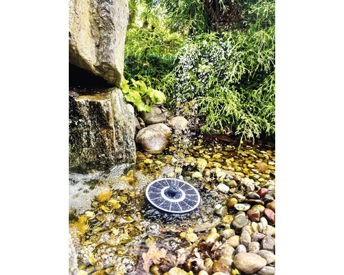 Fontaine solaire dans un bassin de jardin avec des pierres et des plantes.