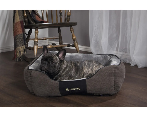Hund im Hundebett von Scruffs