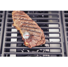 Gegrilltes Steak mit Fleischthermometer auf einem Grillrost