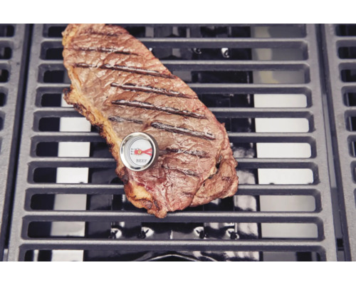 Steak grillé avec thermomètre à viande sur une grille de barbecue