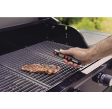 Logo Tenneker. Un steak est posé sur un gril et sa température est mesurée à l''aide d''un thermomètre de barbecue.