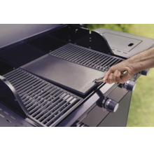 Grill mit Grillplatte und Grillrost