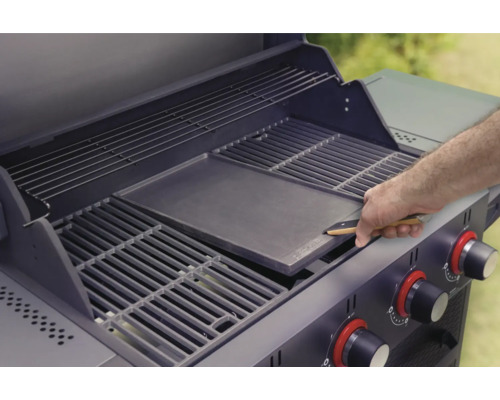 Barbecue à gaz avec plaque de cuisson et grille