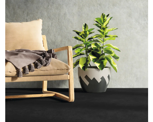 Intérieur avec fauteuil, coussin, plante d''intérieur et revêtement de sol foncé