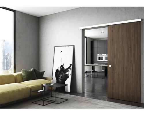 Salon avec porte coulissante et coin cuisine à l''arrière-plan.