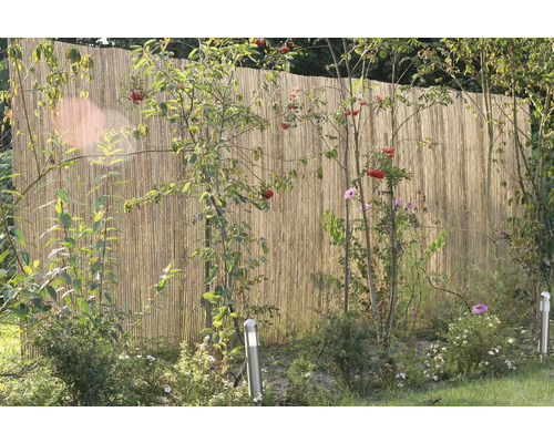 Brise-vue en bambou dans le jardin avec des plantes