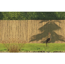 Gartenszene mit Sichtschutzzaun aus Schilfrohr und Dekofigur Storch auf einer Rasenfläche