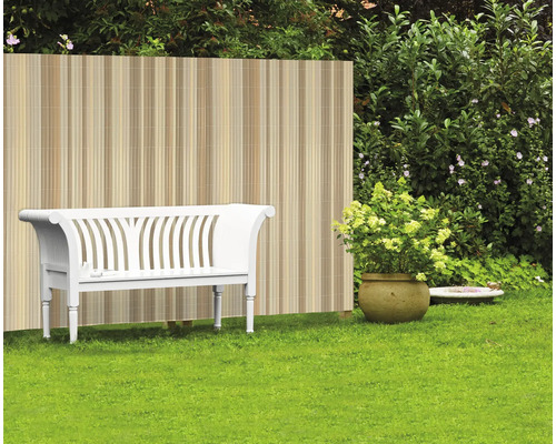 Scène de jardin avec brise-vue, banc de jardin et plante