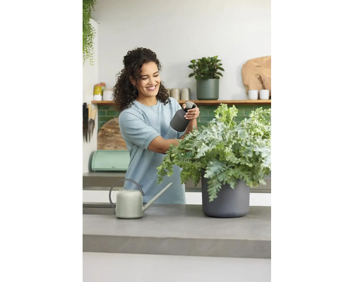 Frau pflegt Pflanze mit Sprühflasche neben Giesskanne auf einer Arbeitsplatte