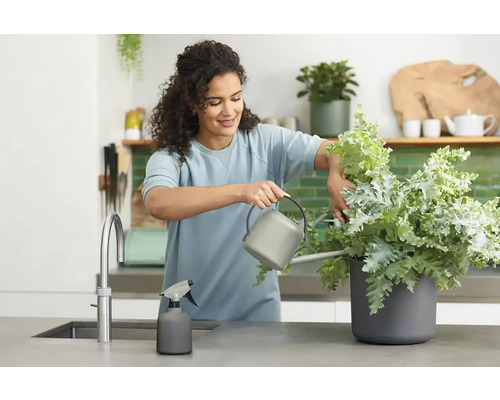 Femme arrose une plante dans la cuisine avec un arrosoir