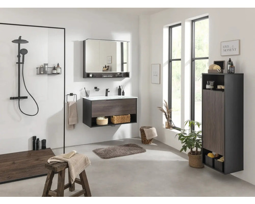 Salle de bains avec lavabo, armoire de toilette, armoire haute et douche au design moderne