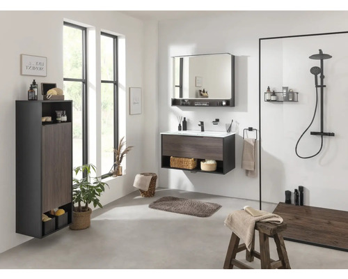 Salle de bains lumineuse avec meuble-lavabo, armoire de toilette, armoire haute et douche