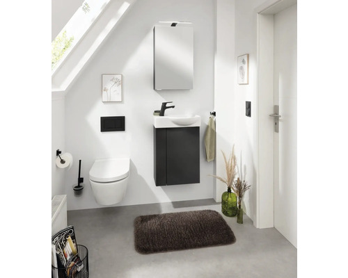 Salle de bains avec toilettes, lavabo, armoire de toilette et tapis de bain dans une pièce lumineuse