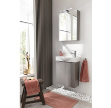 Mini meuble sous vasque FACKELMANN SBC lxhxp 52x60x24.3 cm cubanit gris
