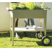 Hochbeet auf Rädern mit Kräutern und Erwachsenen und Kind