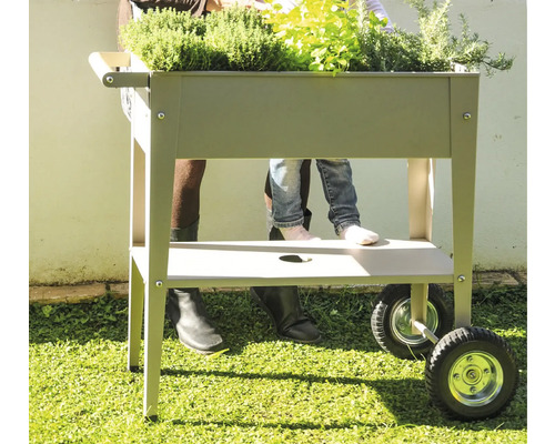 Hochbeet auf Rädern mit Kräutern und Erwachsenen und Kind