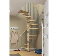 Raumszene mit einer Holz-Wendeltreppe mit Metallgeländer.