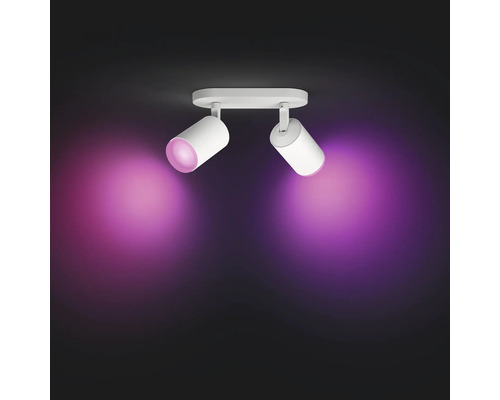 Deckenleuchte mit zwei Strahlern