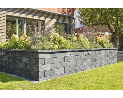 Muret de jardin en pierre planté de plantes