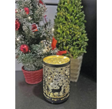 Lanterne décorative avec motif de cerf et motif d''étoiles à côté de plantes en pot