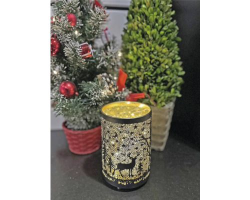 Lanterne décorative avec motif de cerf et motif d''étoiles à côté de plantes en pot
