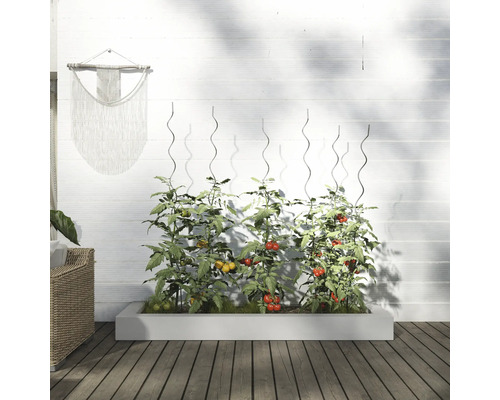 Jardinière surélevée avec plants de tomates et supports d''escalade devant un mur blanc